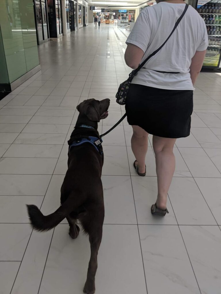 The Canine's Voice Service Dog Resources and Training