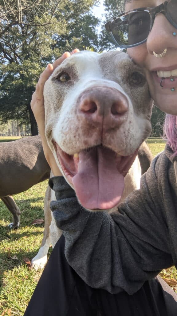 Canis Nexus dog adoption support will offer rescue matching, training, behavior rehab and more to help your dog's emotional wellbeing.